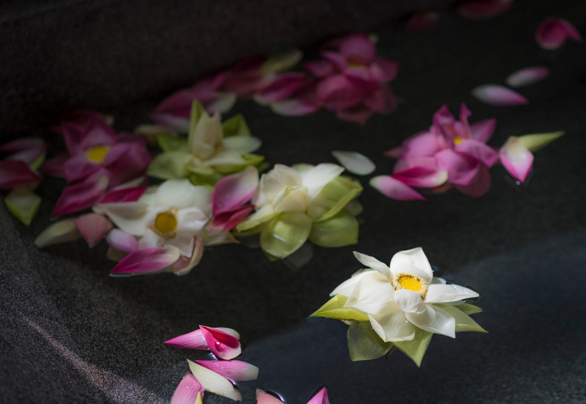 Sokkhak Boutique Resort & Spa Siem Reap Camera foto